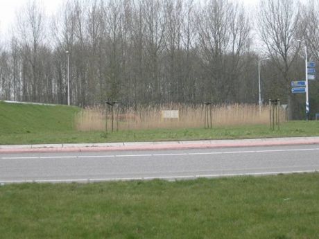 Rotonde Dronterringweg - Biddingringweg